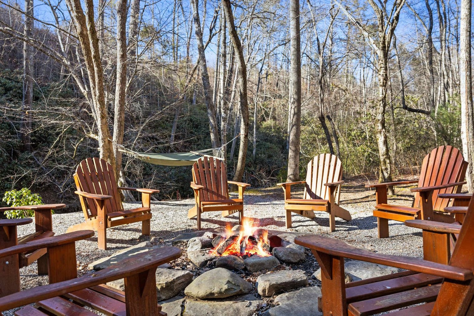 Building Photo - 224 Dogwood Dr