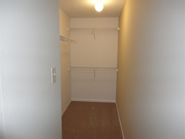 Building Photo - 9211 Wandflower Dr