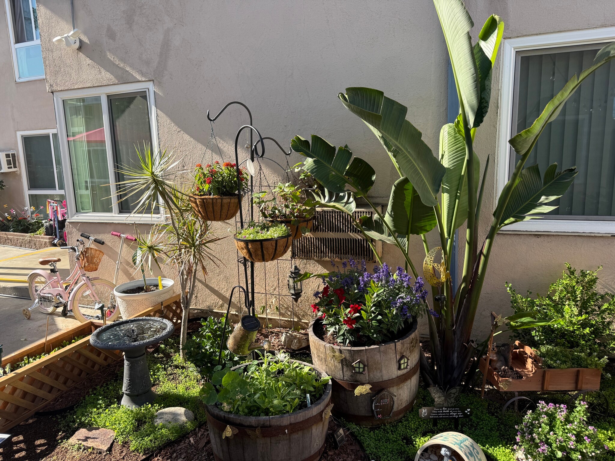 A little fairy garden - 4445 Murietta Ave