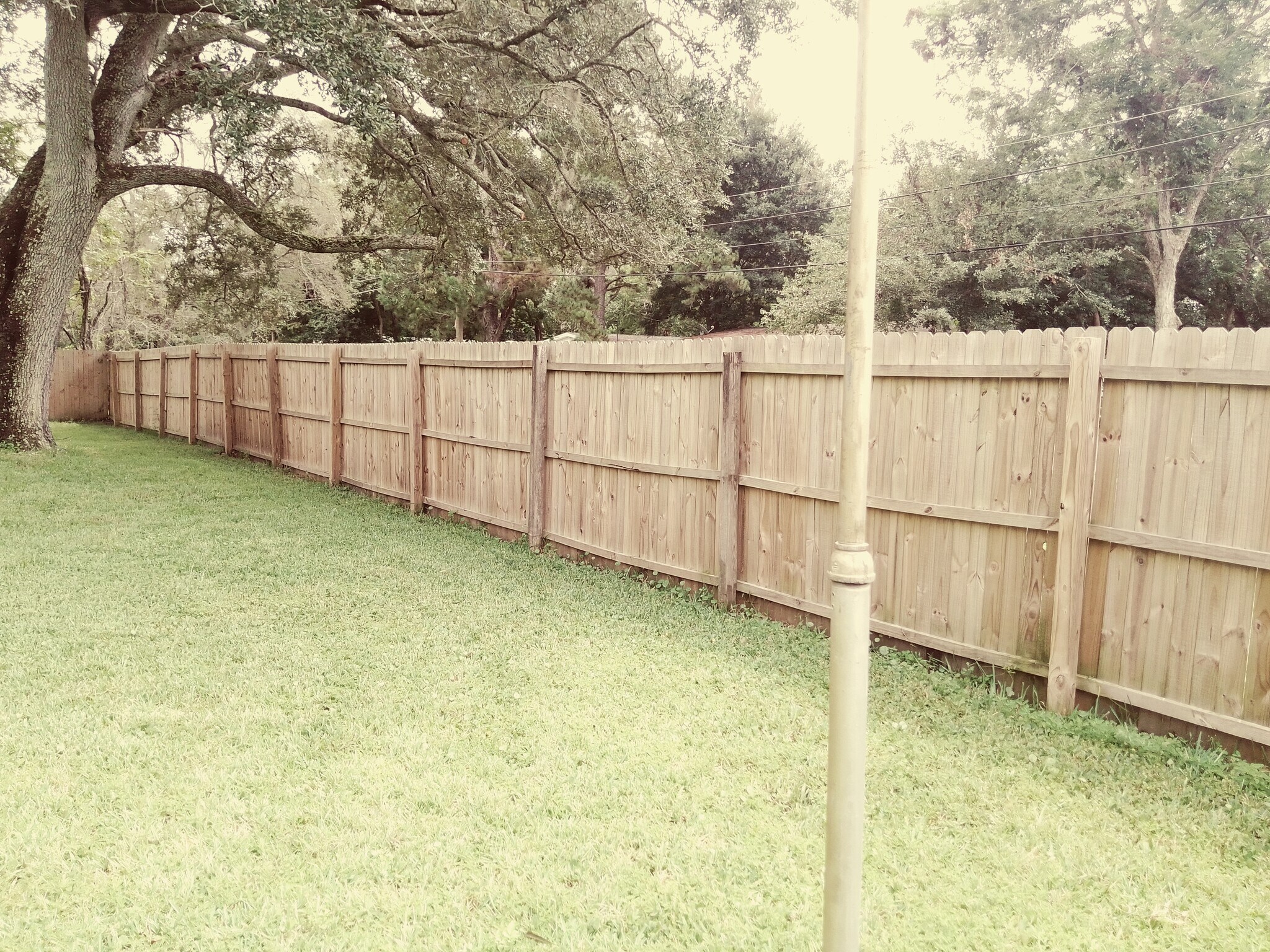 Building Photo - 2537 Chris Ct