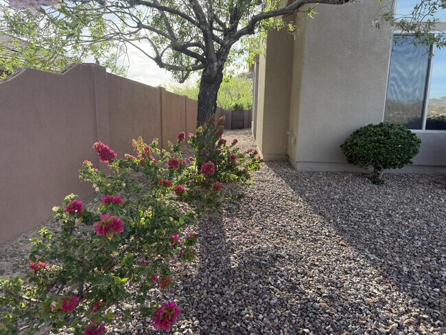 Building Photo - 42107 N Mountain Cove Dr