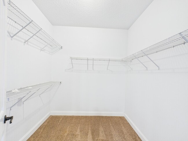 Building Photo - 4546 Live Oak Church Rd