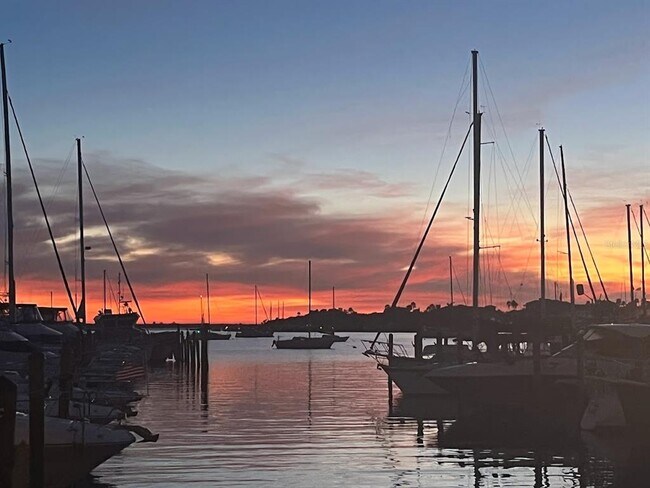 Building Photo - 1209 Apollo Beach Blvd