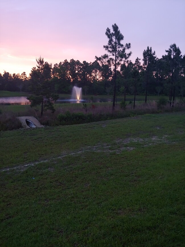 Sun setting backyard view - 133 Stonegate Drive