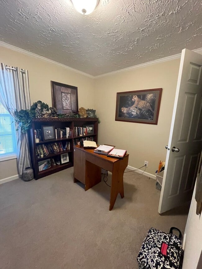 Building Photo - 3 Bedroom 2 Bath Home with large Sunroom i...