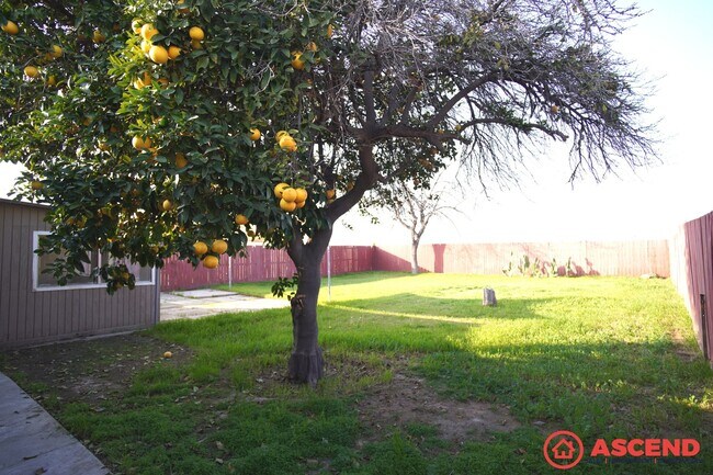 Building Photo - 3 bedroom Home in Oildale!