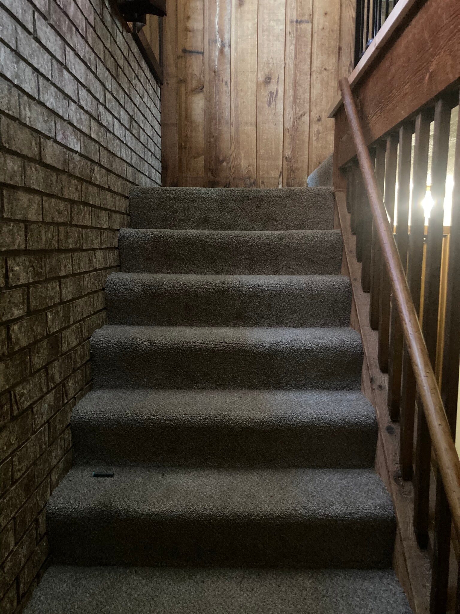 Stairs to Lower Level - 4149 Curwood Ave SE