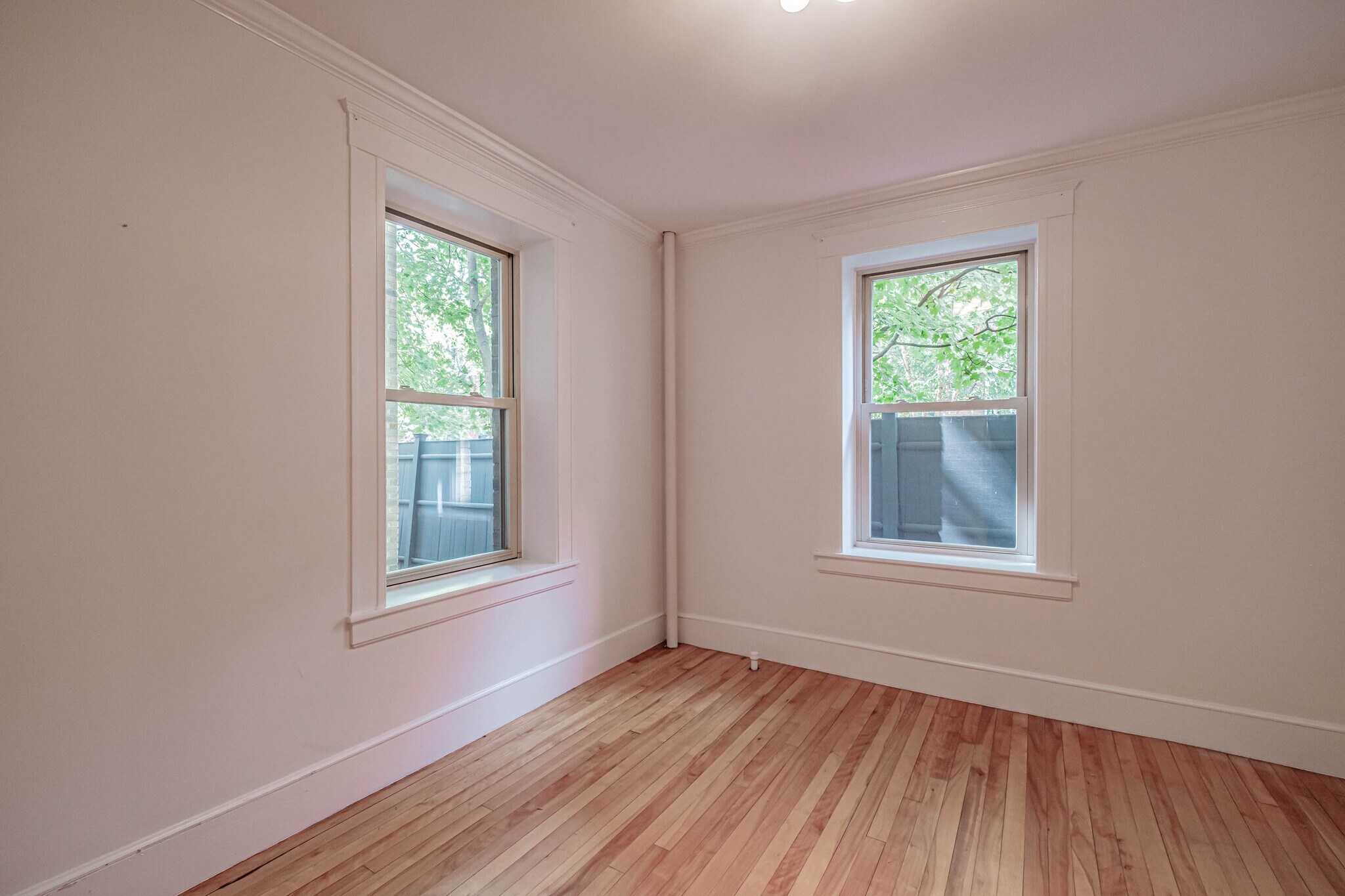 Building Photo - 197 Pine St