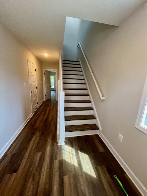Building Photo - 1615 Palomino Trl