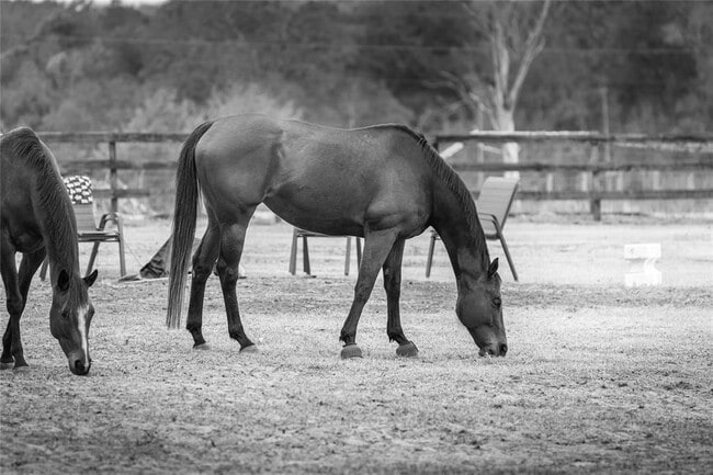 Building Photo - 8540 Boyt Rd