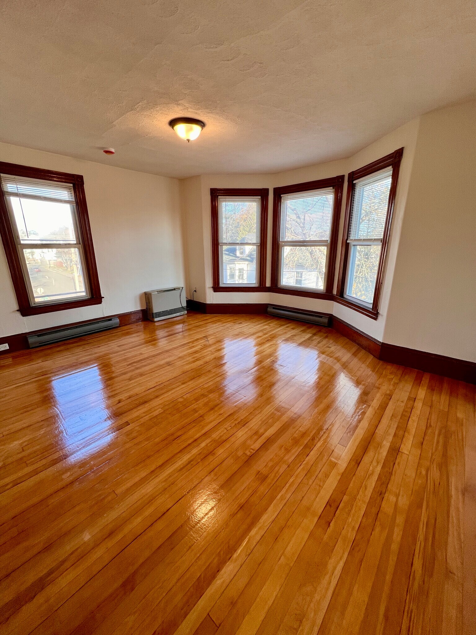 Building Photo - 94 Graham St