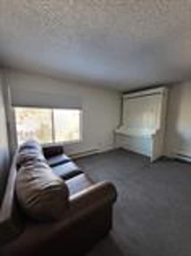 Building Photo - Price Reduced!  In town Breckenridge Studio!  Heat and Electric included!  Between town and the l...