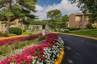 Building Photo - Reston Glade