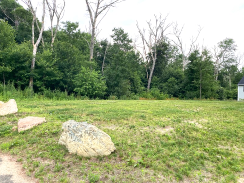 Building Photo - 337 Village St