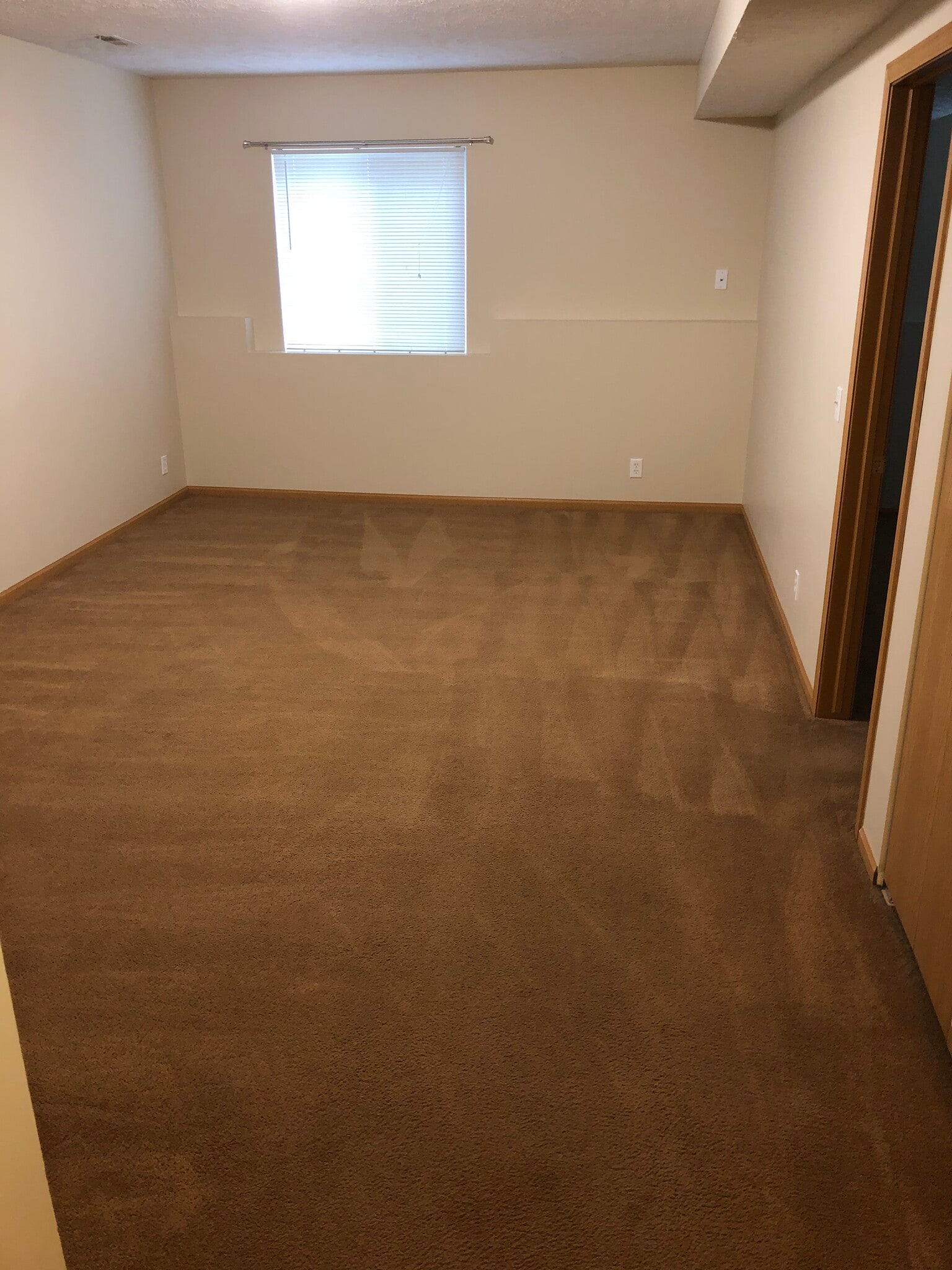 lower level living area ~12' X 19' - 5830 Princess Margaret Dr