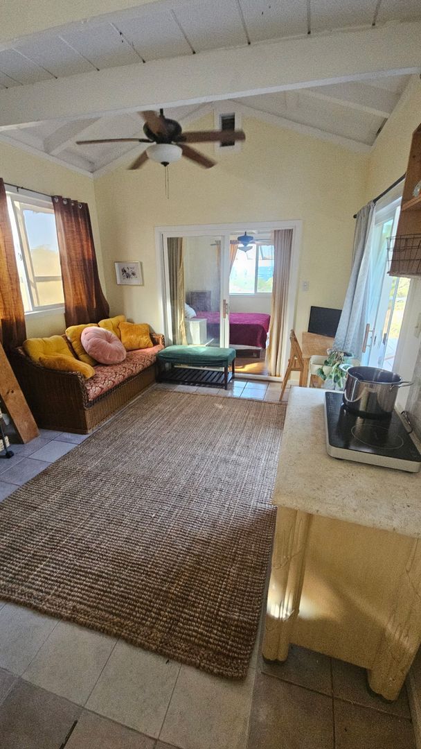 Building Photo - Oceanviews Private 1 bed / 1 bath sep. cot...