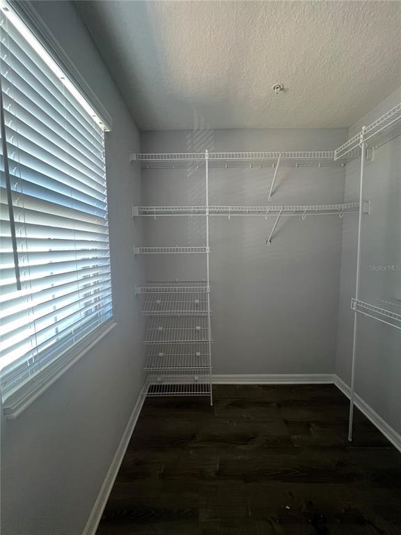 Building Photo - 104 Cedar Bark Ln