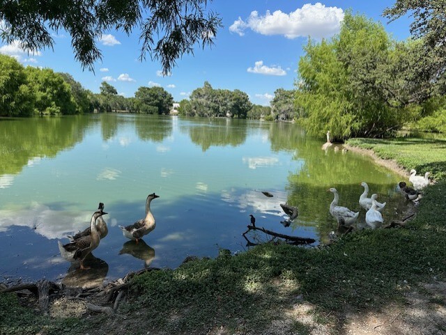 Building Photo - Vista Lago