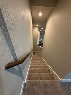looking downstairs - 521 Peace Dr