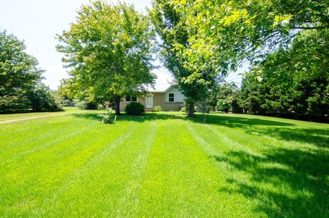 Building Photo - 7109 Hall Ln