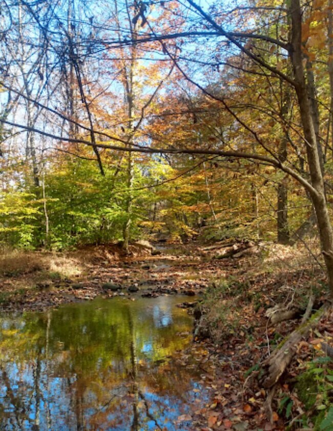 Building Photo - 1357 Canal Rd