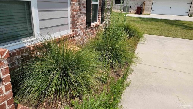 Building Photo - 6884 Buckthorn Cir
