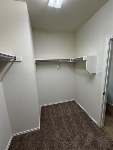 Building Photo - 1204 Barn Owl Dr