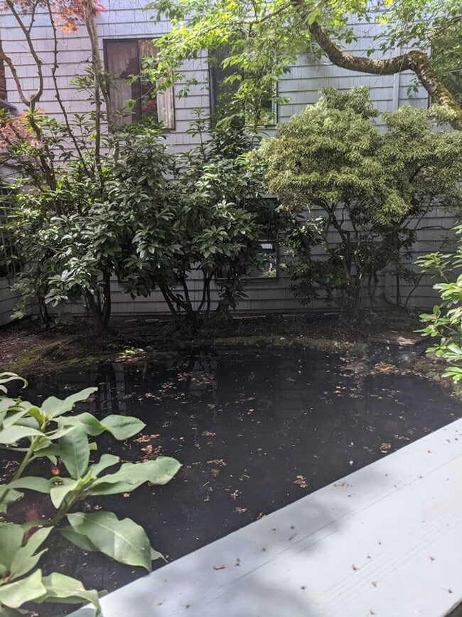 Building Photo - Mercer Island 2 bedroom Condo