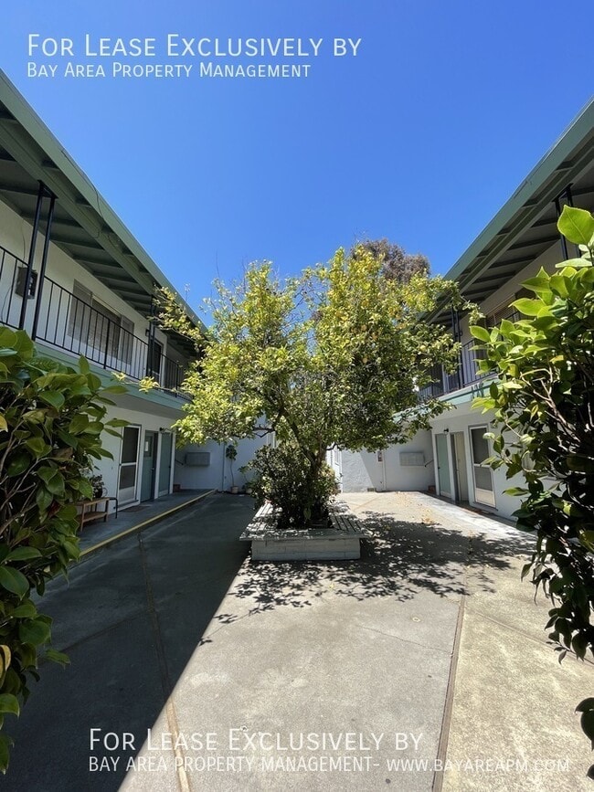 Building Photo - 24 Lorton Ave