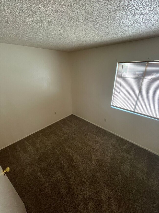 Building Photo - READY TO VIEW NOW! -Brand New Carpet & Pai...