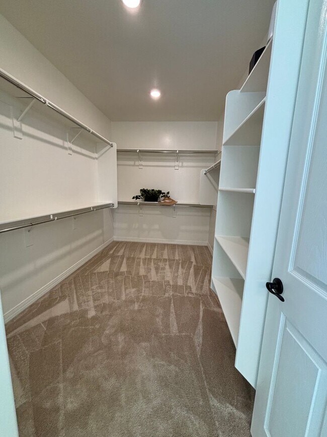 Building Photo - Single Level Queen Creek Home