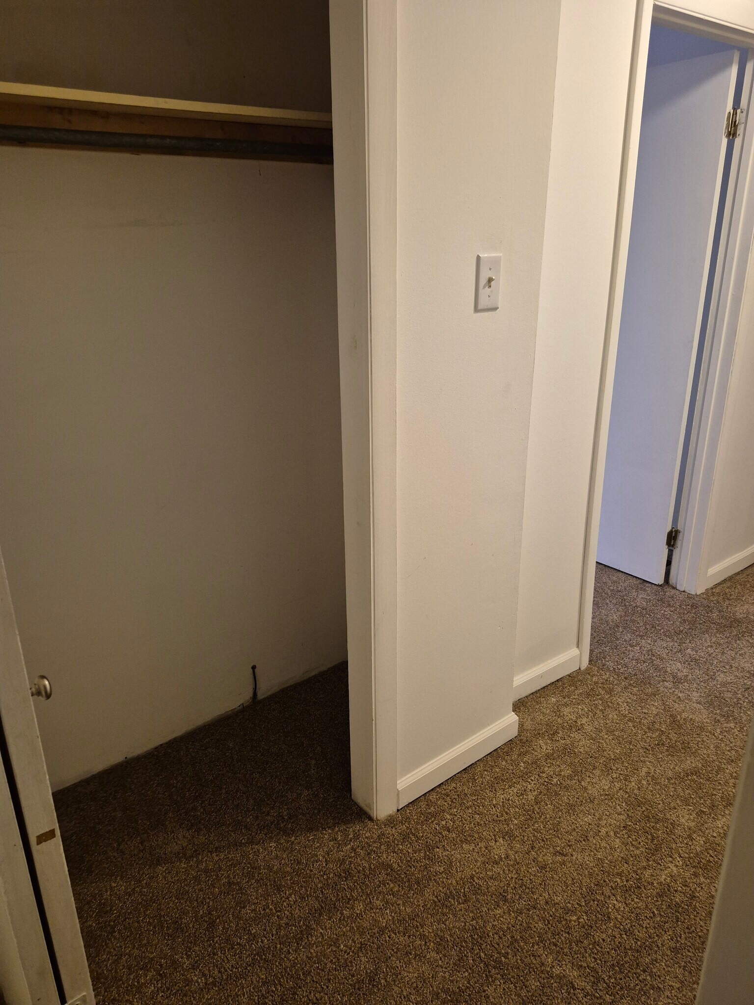 Back hallway closet - 501 Beatty Rd