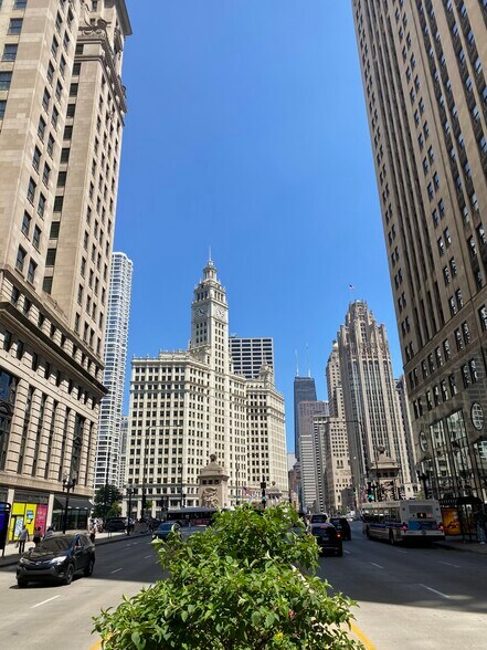 Building Photo - 326 N Michigan Ave