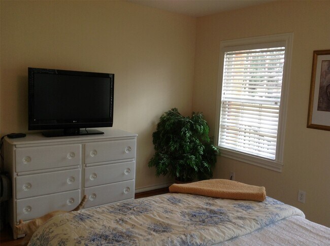 Building Photo - 704 Sue St