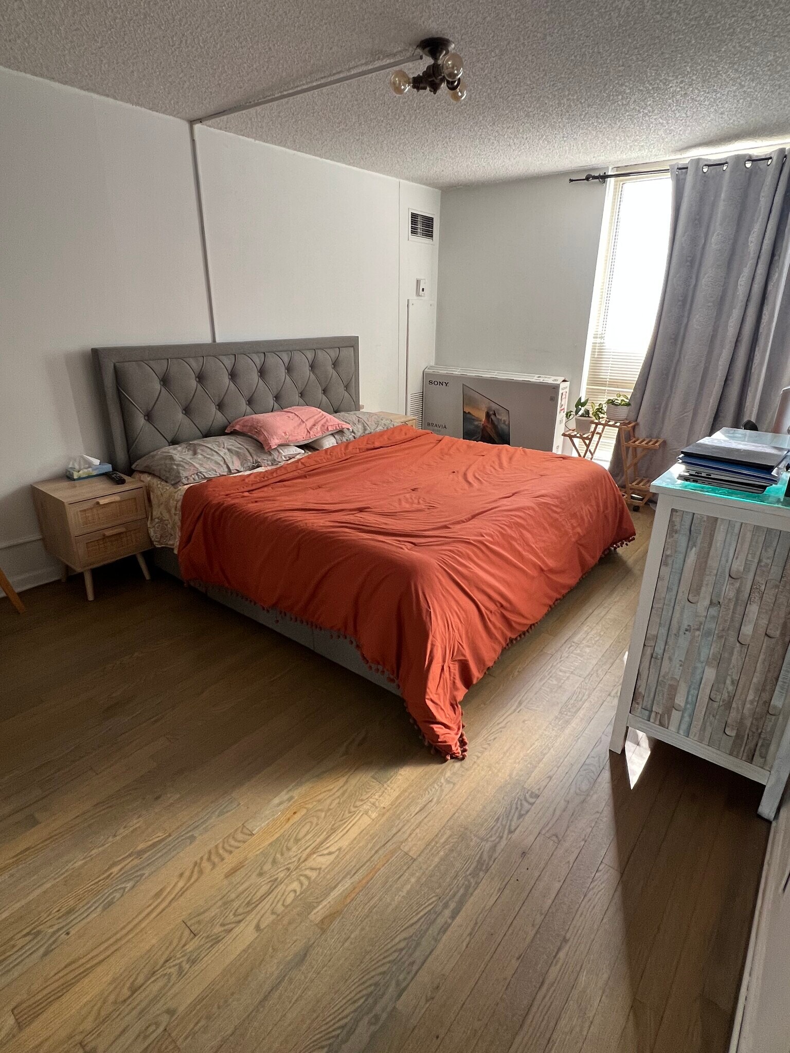 bedroom 1 - 200 N Dearborn St