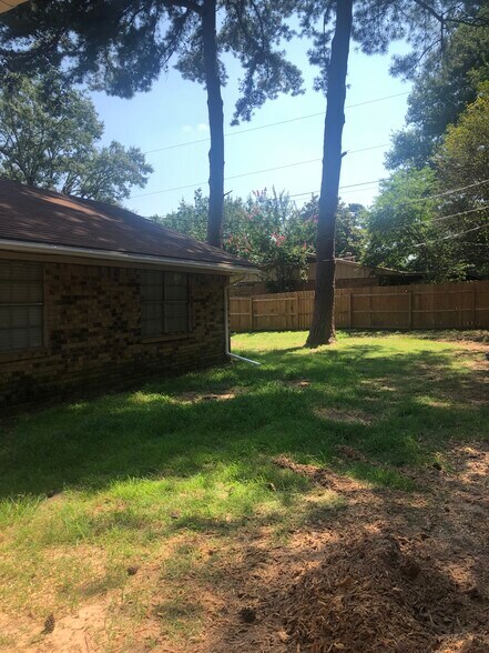 backyard - 100 Medina Dr