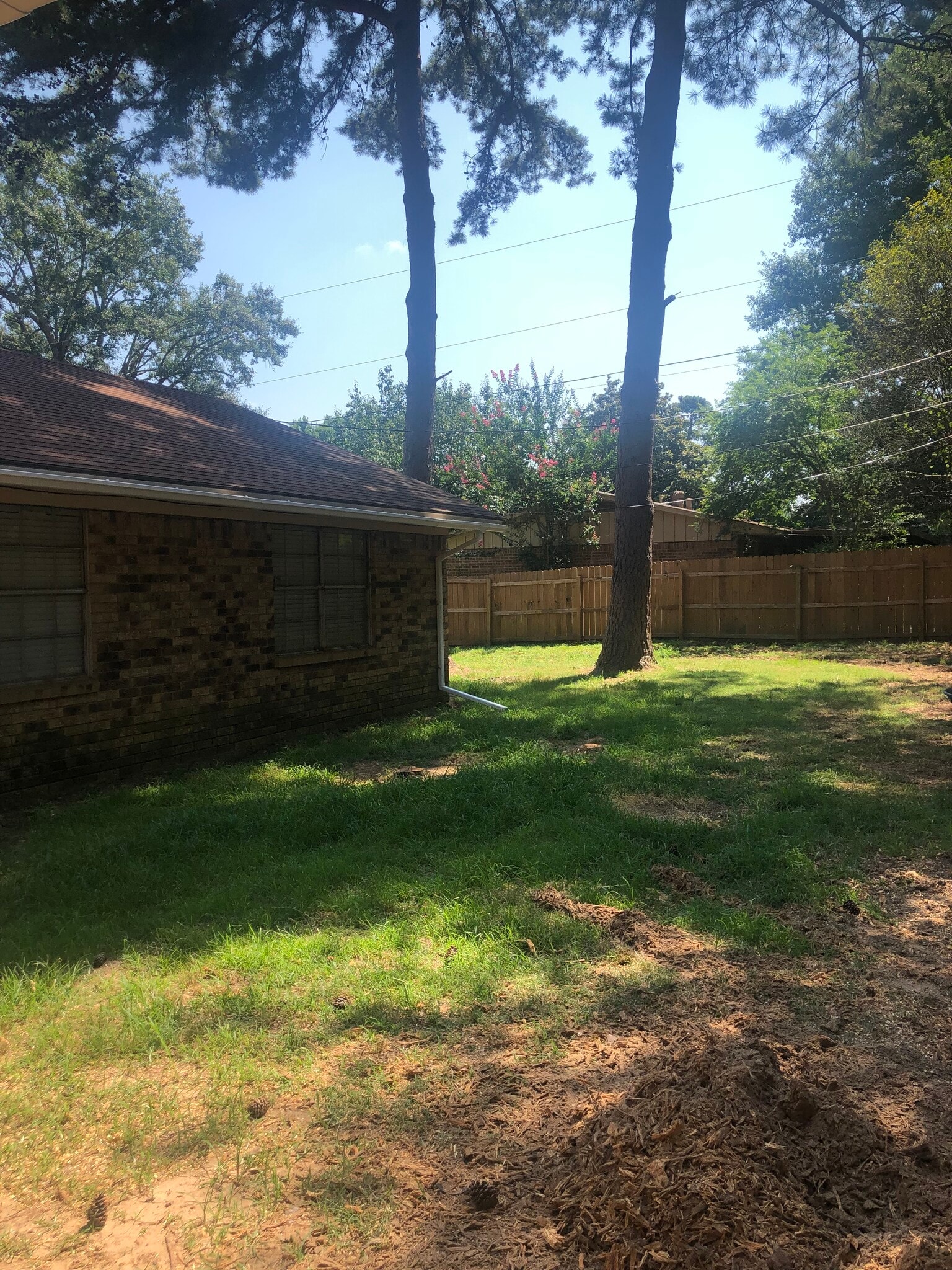 backyard - 100 Medina Dr