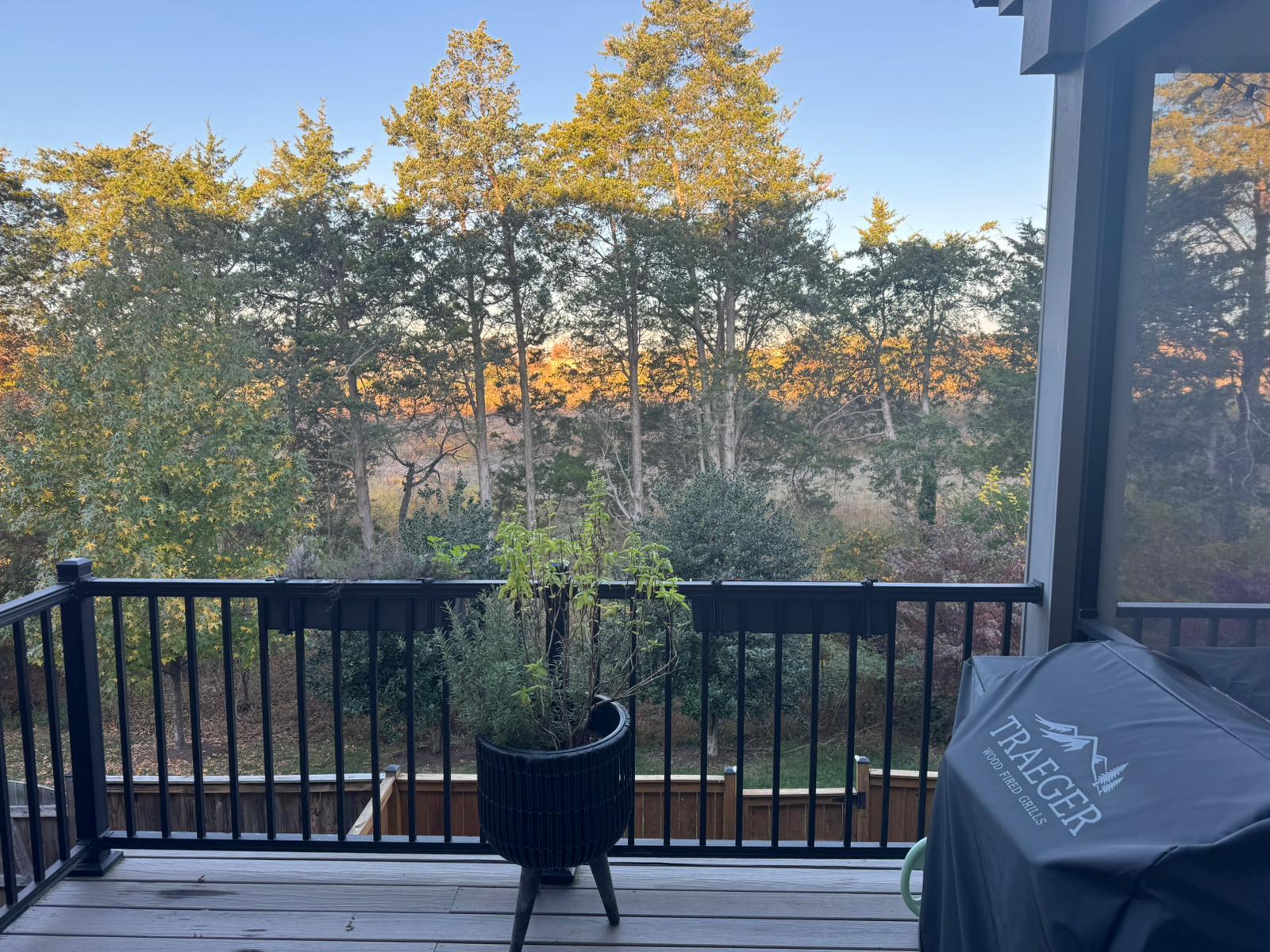 Main Level open Deck - 23659 Turtle Point Ter