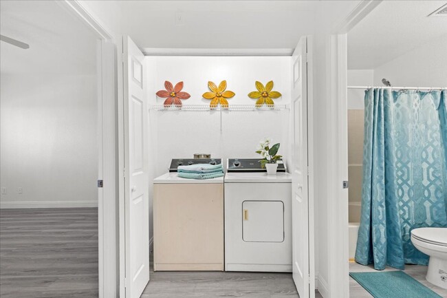 Building Photo - Stunning and Freshly Remodeled 1 Bedroom C...