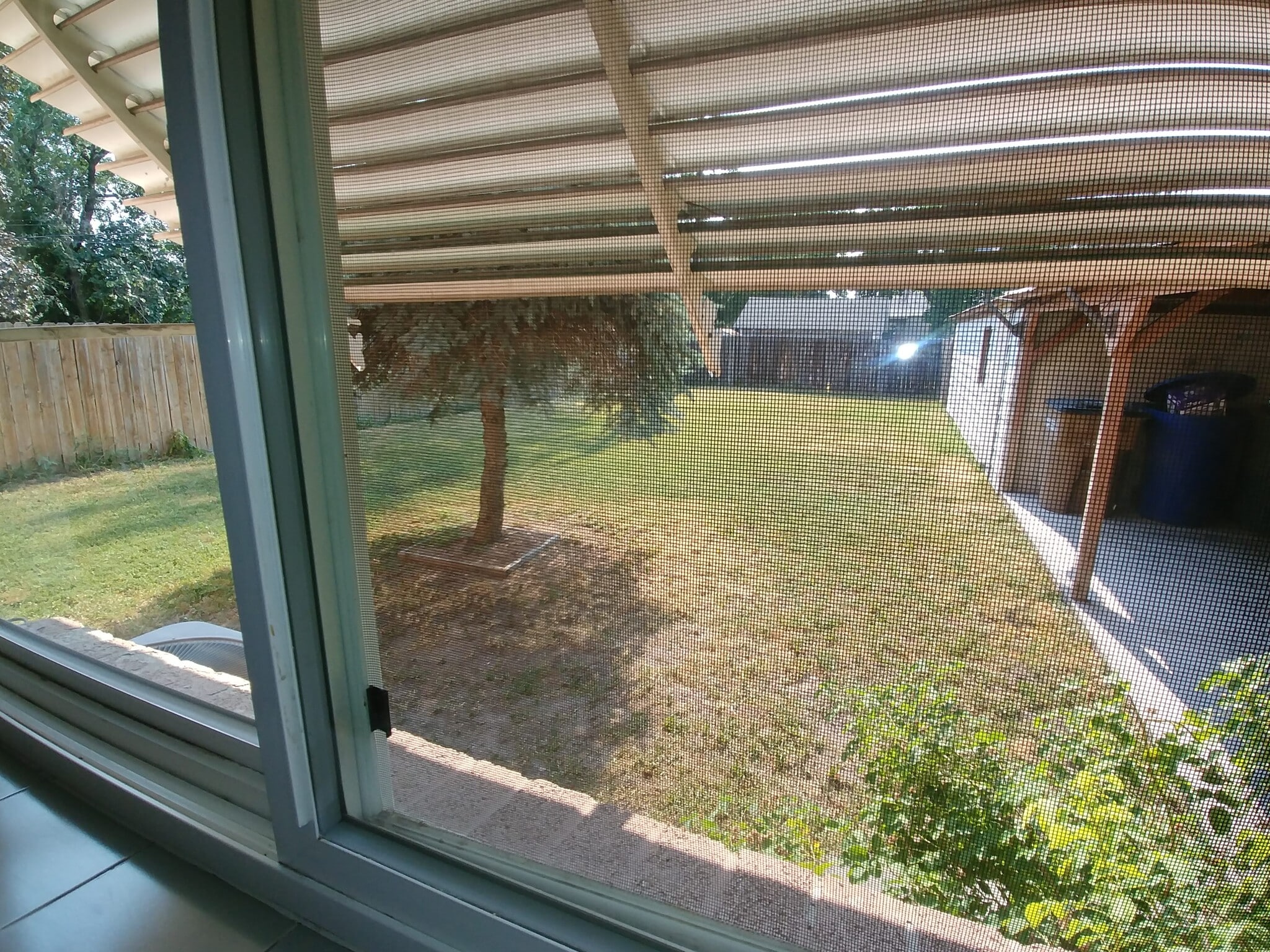 Back yard - 2544 S Park St