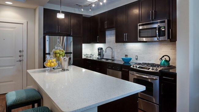 2900 West Dallas Montrose Apartments Houston Tx Apartment Finder