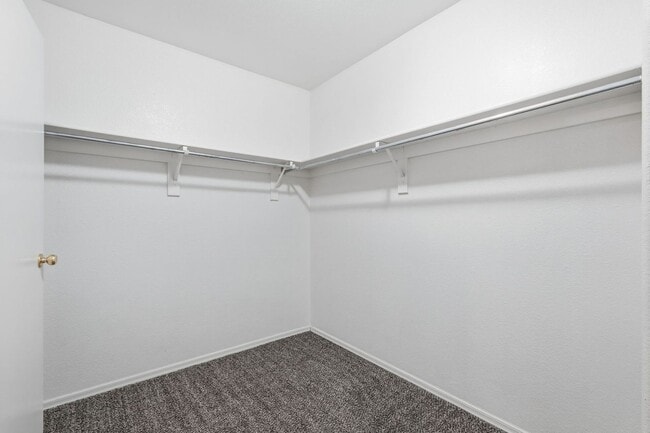 Building Photo - HUGE 6 Bedroom Home - Westgate and Freeways Nearby!