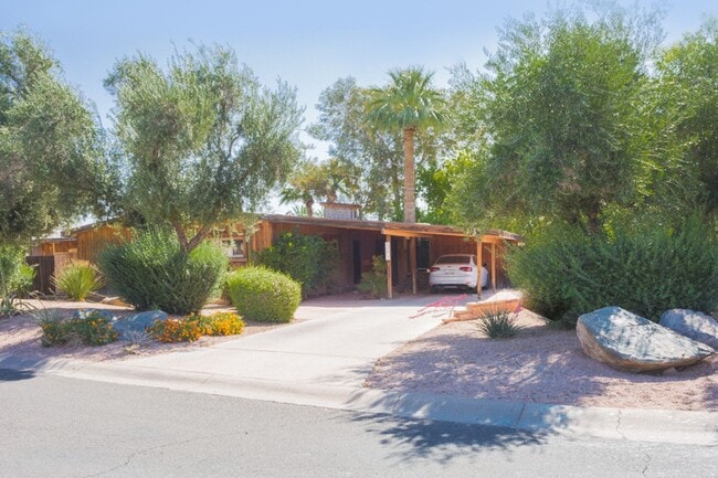 Building Photo - Scottsdale Rental Listing
