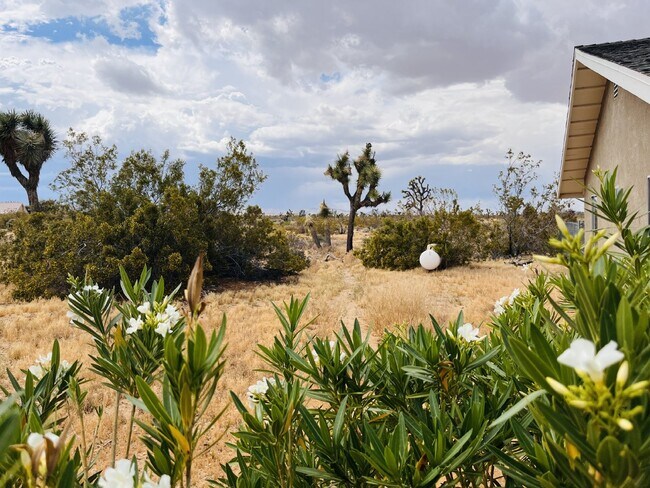 Building Photo - Charming 3-Bedroom with 2 Full Baths on th...