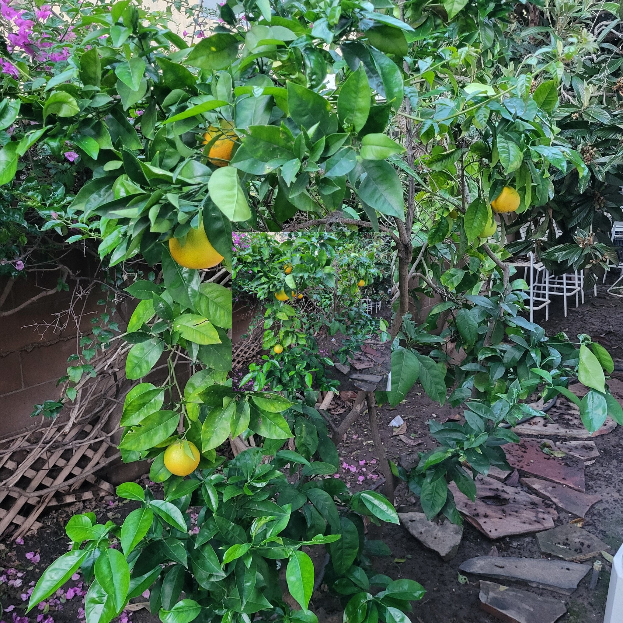 Building Photo - 10829 Woodbine St