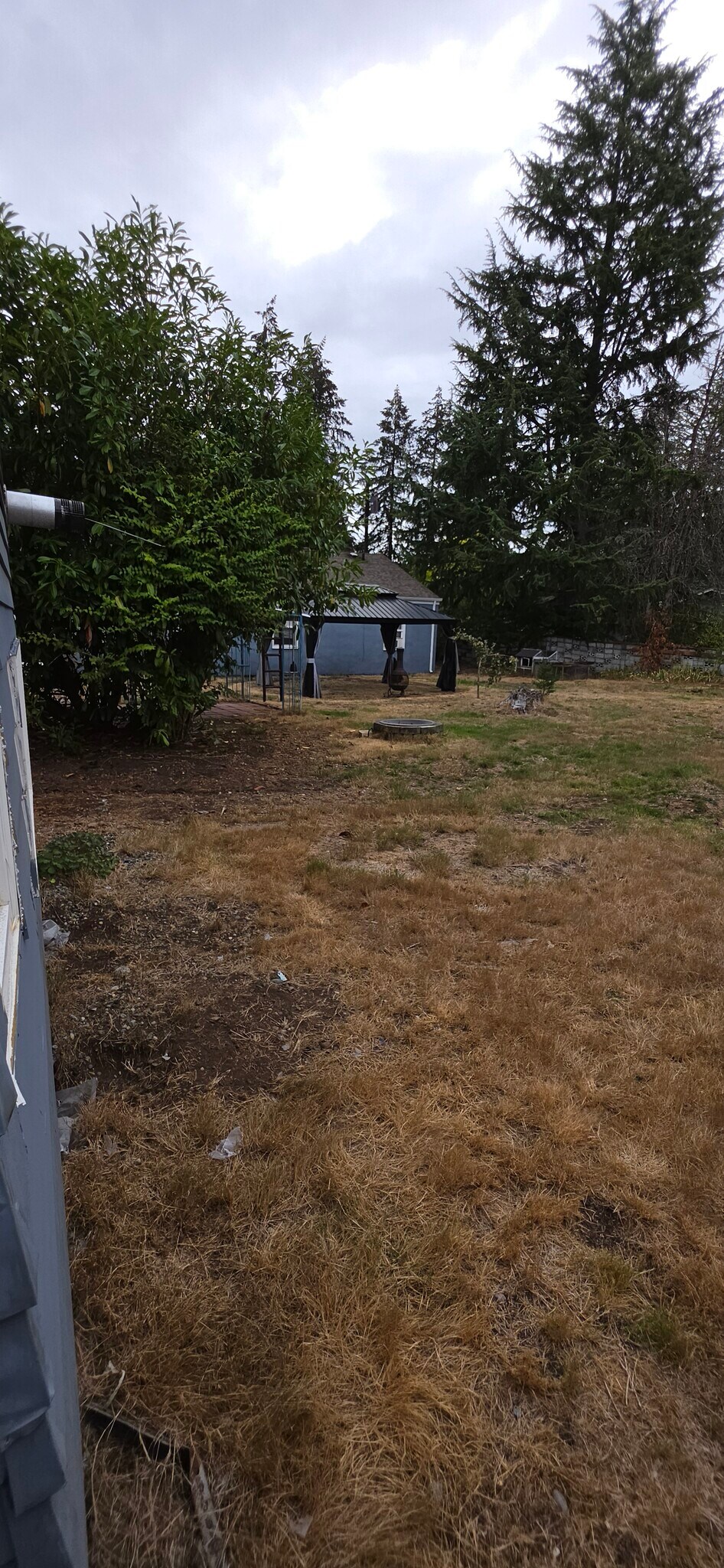 Back Yard - 8802 Forest Ave SW