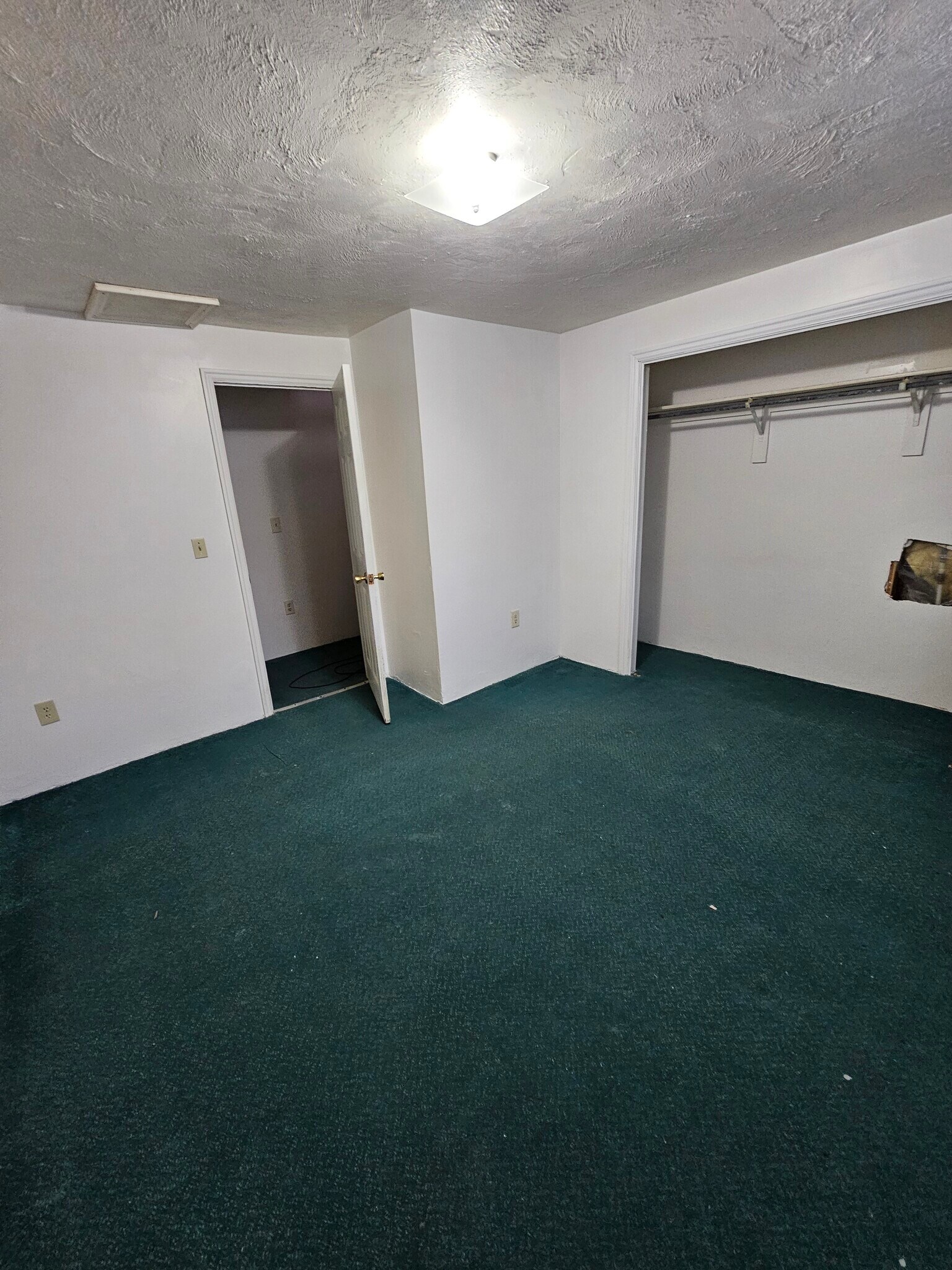 Building Photo - 310 6th St