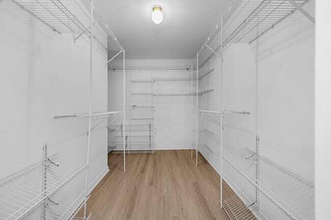 Building Photo - Spacious 3/2 w/Electricity Included Availa...