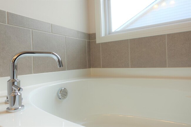 Building Photo - 461 Pine Nut Wy