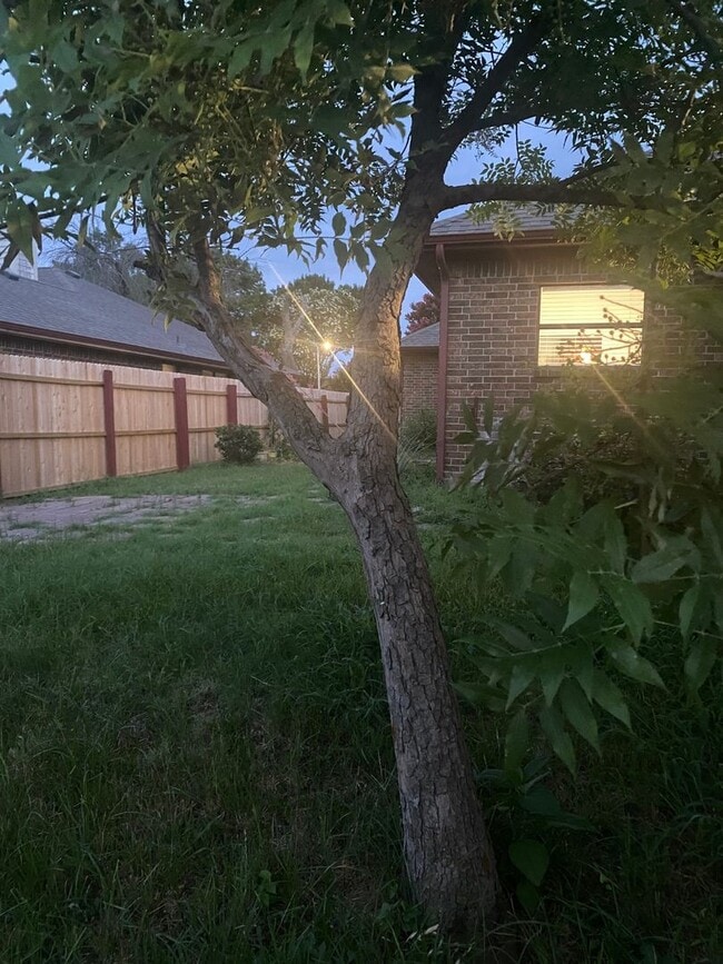 Building Photo - 1007 Dandelion Dr